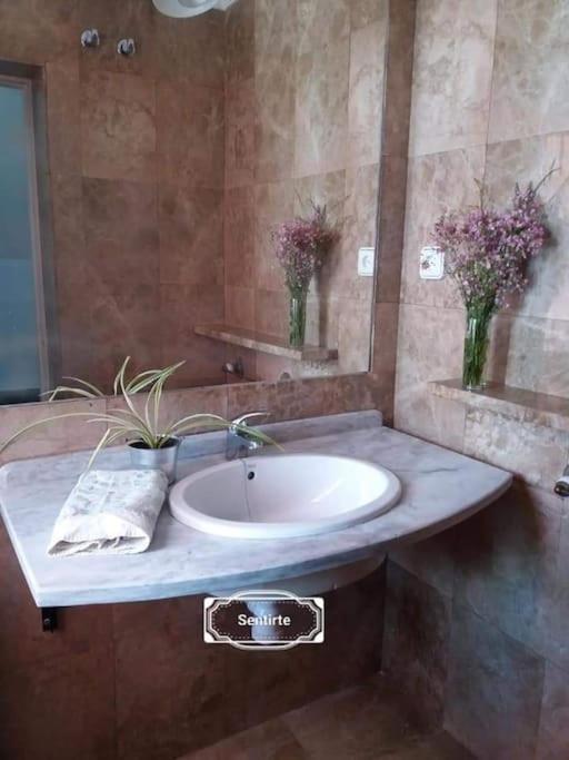 Vivienda Rural Sentirte 1 Centro De Aracena Apartment Luaran gambar